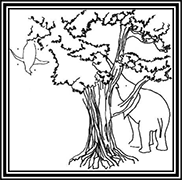 Hathi and the Penguin