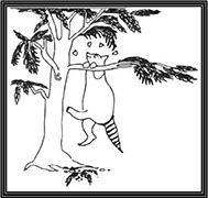 Rabbit and Raccoon